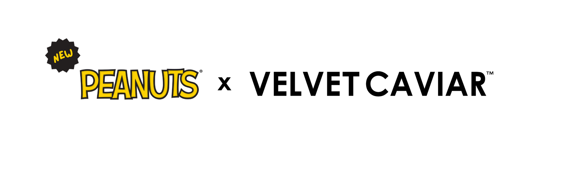 Peanuts Collab Logos2