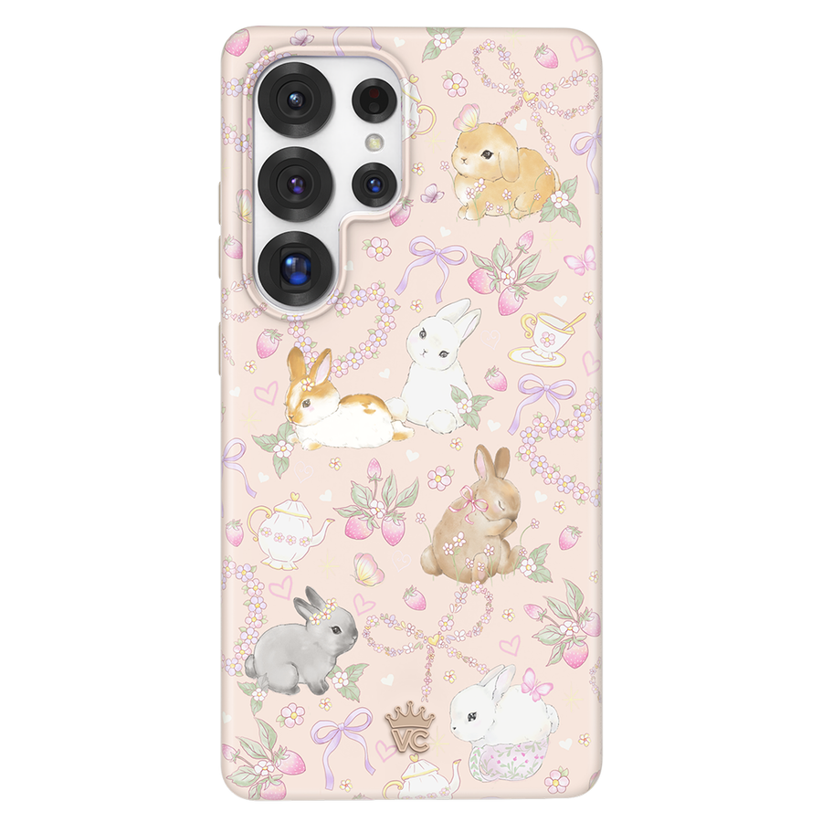 Galaxy S25 Ultra