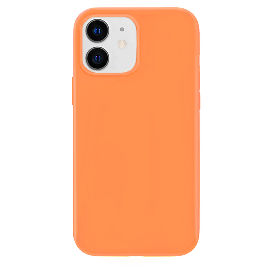 iPhone 12 Mini